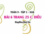 Bài 6 trang 25 Toán 9 tập 1 Cánh Diều